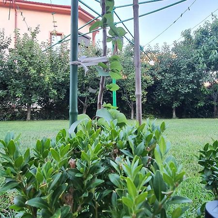 Vila Vasile Неводарі Екстер'єр фото